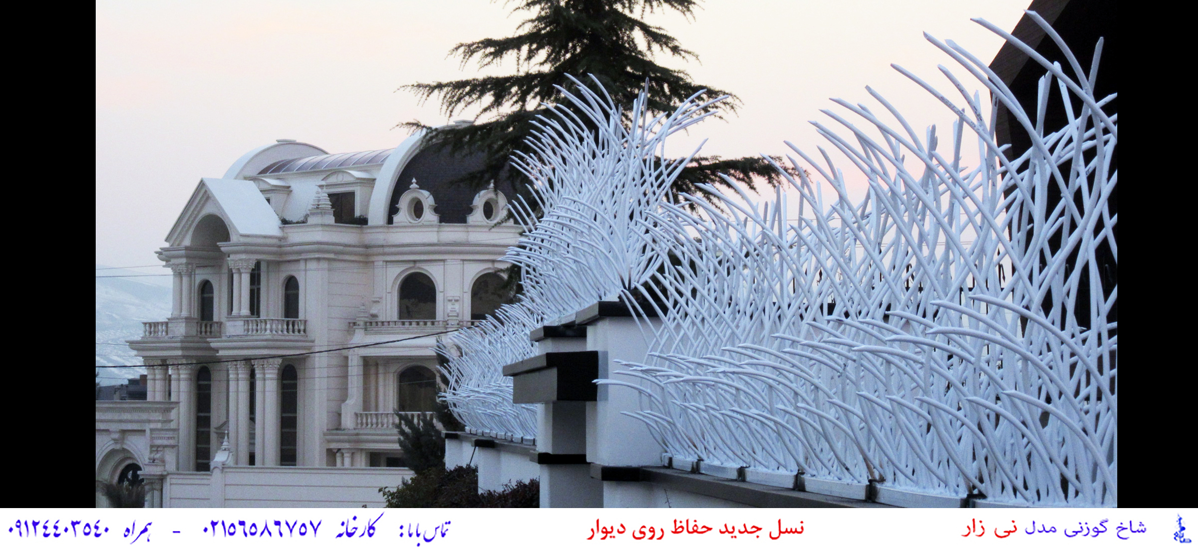 حفاظ نیزار روی دیوار ساختمان