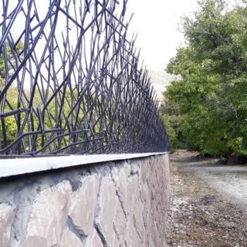 حفاظ شاخ گوزنی بهترین حفاظ روی دیوار از نظر کیفیت و قیمت